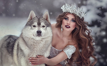 snow queen, huskys, dogs, women, snow HD wallpaper