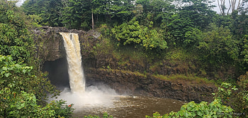 Rainbow Falls and Boiling Pots, Wailuku River (Big Island Hawaii), Pots, Boiling, Hawaii, Trees, Wailuku, Water, Waterfall, River HD wallpaper