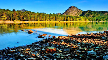 River reflections, river, sunny, crystal, serenity, nice, beach, quiet, shore, reflection, trees, autumn, tranquility, beautiful, summer, mirrored, pretty, stone, nature, sky, riverbank, clear, lovely, calmness, forest HD wallpaper