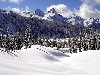 Tatoosh Range Mount Ranier Washington State, winter, landscape, summit, snow, trees, nature, peak, mountains, forest HD wallpaper