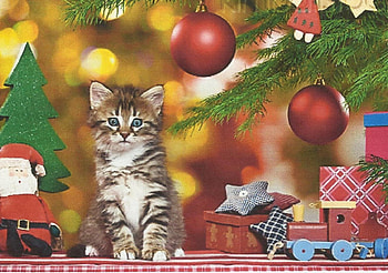 A tabby kitten with toy train, kitten, christmas, tabby, feline, toy train, tree HD wallpaper