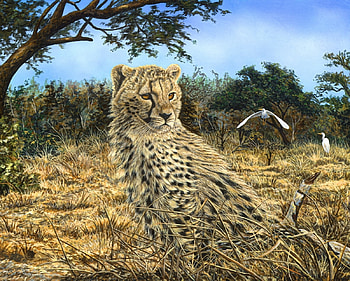 African Day, animal, birds, gepard, tree HD wallpaper