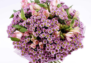 Flowers, Chrysanthemum, Registration, Typography, Alstroemeria, Bouquet HD wallpaper