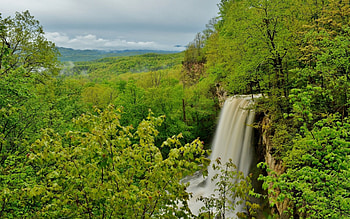 Forest Falls, green, trees, waterfall, view, nature, forest HD wallpaper