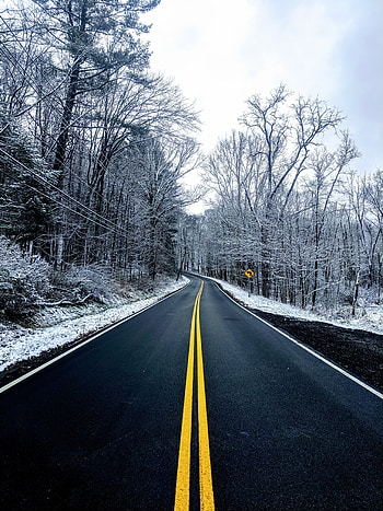 Winter, Nature, Trees, Snow, Road, Markup, Asphalt HD phone wallpaper