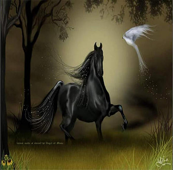 Abstract horse, animal, night, horse, abstract HD wallpaper