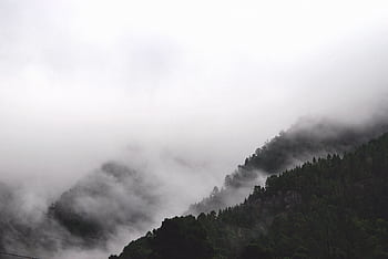 Serene fog drifts over a lush mountainside forest, creating a mystical landscape. HD wallpaper