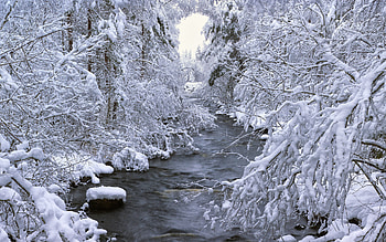 Landscape, Winter, Nature HD wallpaper