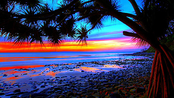 beach , water, tropical, sunset, beach HD wallpaper