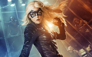 White Canary, , Backgrounds HD wallpaper