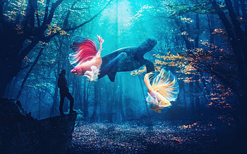 forest, Animal, underwater, man, dream HD wallpaper