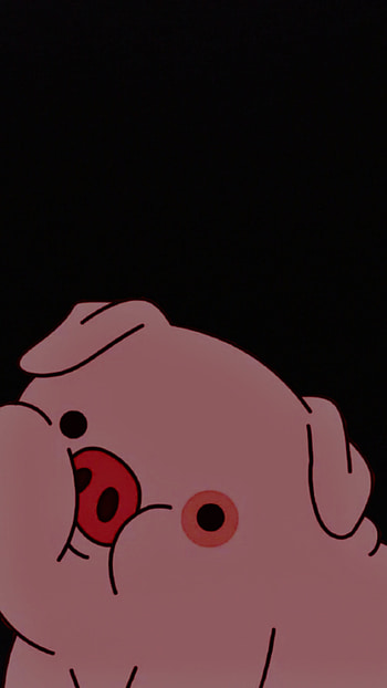 Pato, domestic pig, magenta HD phone wallpaper
