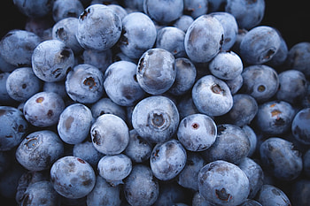 Food, Bilberries, Berry, Ripe HD wallpaper