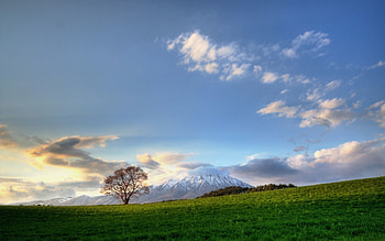 Nature, Sky, Clouds, Wood, Tree, Meadow HD wallpaper