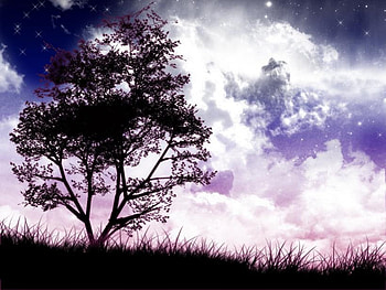 At night, night, nature HD wallpaper