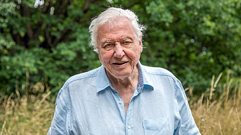 David Attenborough A Perfect Planet HD wallpaper