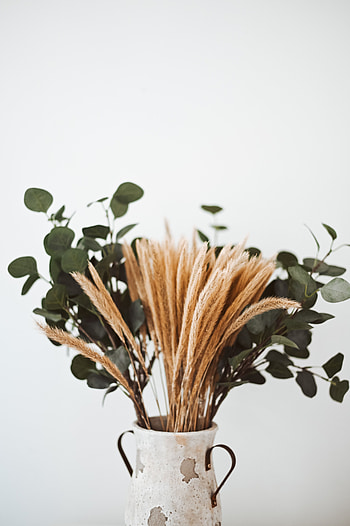 Flowers, Cones, Branches, Bouquet, Vase, Spikelets, Composition HD phone wallpaper