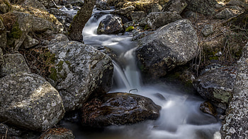 Stones Rocks Tree Trunk Water Stream Forest Nature HD wallpaper