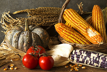Harvest Bounty: Vibrant Still Life Food, food, still life HD wallpaper