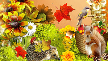 Ivy Tag - Autumn Flowers Fruit Squirrel Ivy Mushrooms Fall Bird Apples Porcupine Fleurs Nuts Whimsical HD wallpaper