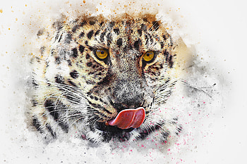 Leopard, muzzle, art, predator HD wallpaper