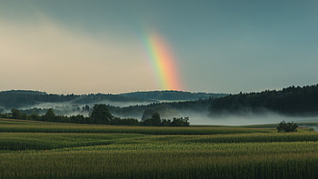 Grassland, Rainbow Colors HD wallpaper