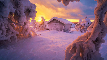 Sunset at the Arctic Circle, Finland, snow, winter, landscape, colors, trees, clouds, sky HD wallpaper