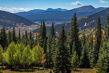 Nature, Trees, Mountains, Forest, Fir, Spruce HD wallpaper