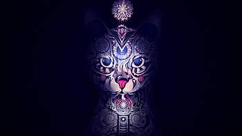 Animals, Cats HD wallpaper