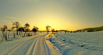sunny day, winter, sunny, day, snow, nature HD wallpaper