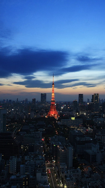 Tokyo Skyline, Man made tower, Architectural marvel, Urban panorama HD phone wallpaper