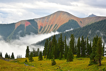 Nature, Mountains, Clouds, Forest, Fog, Spruce, Fir HD wallpaper