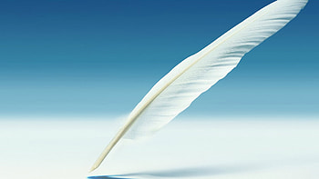 Feather Pen, feather, pen, artist HD wallpaper