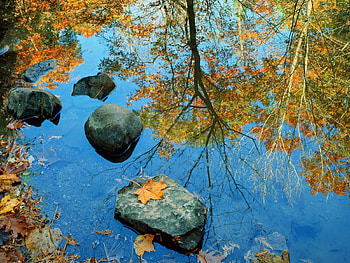 Nature, Autumn, Leaves, Rock, Reflection, Colors, Color, Stone, Mirror HD wallpaper