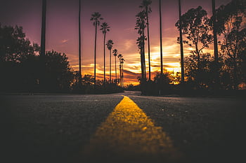 A captivating sunset view of an empty highway lined with tall palm trees. HD wallpaper