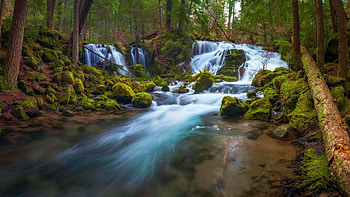 Pearsony Falls, Oregon, river, trees, cascade, rocks, forest, usa, stones HD wallpaper