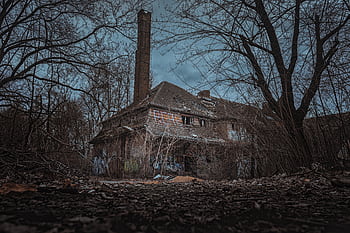 Explore a decayed, graffiti-covered building enveloped by leafless trees, perfect for horror themes. HD wallpaper