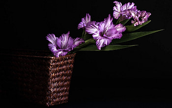 Flowers, Background, Leaves, Gladiolus, Basket HD wallpaper