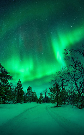 Snowbound Northern Lights, nature, night, snow, sky, winter, aurora borealis, winter night, night snow HD phone wallpaper