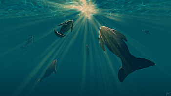Fish Light Underwater Digital Art, fish, artist, artwork, digital-art, deviantart HD wallpaper