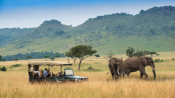 Best of Kenya tour, Andbeyond experience, Cultural encounters, Wildlife encounters HD wallpaper