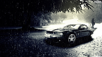 Ford Mustand, ford, mustang, cars, black HD wallpaper