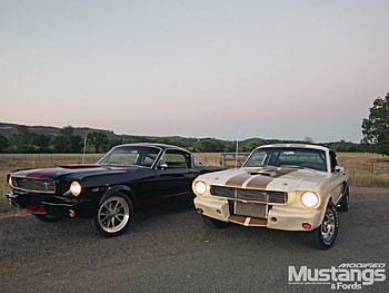 1965 Mustangs Fastback, pair, ford, white, black HD wallpaper