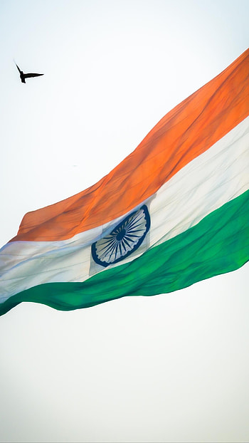 Tiranga, Happy Republic Day HD phone wallpaper