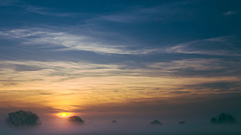 Nature, Trees, Sky, Dawn, Fog HD wallpaper
