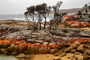 Colorful Binalong Bay, Australia, australia, nature, rocks, beach, trees HD wallpaper