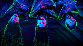 What We Do in the Shadows, Stream online, German language, streaming HD wallpaper