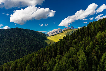 Nature, Trees, Mountains, Clouds, Summer HD wallpaper