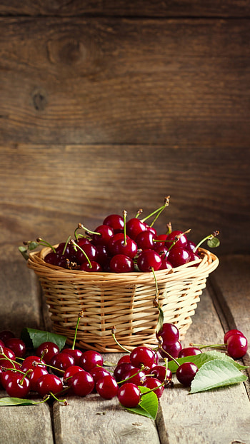 Cherry fruit, Fresh and tangy, Nutritious and vibrant, Nature's little gem HD phone wallpaper