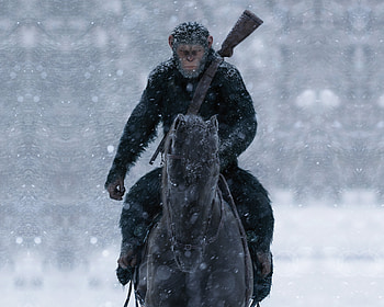 Movie, War For The Planet Of The Apes HD wallpaper